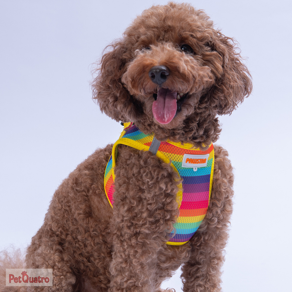 RAİNBOW AİR MESH S