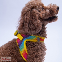 RAİNBOW AİR MESH XL