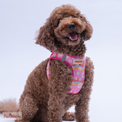 DAİSY AİR MESH 2XS