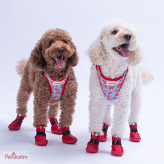 MUSHROOM AİRMESH 2XS