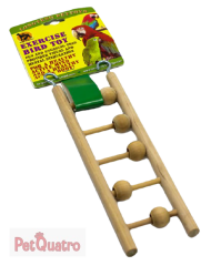 KUŞLAAR İÇİN LÜX AHŞAP MERDİVEN