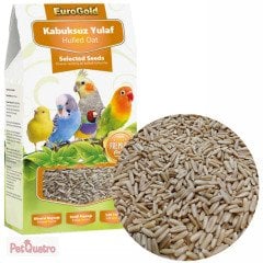 EUROGOLD YULAF TOHUMU 300 GR