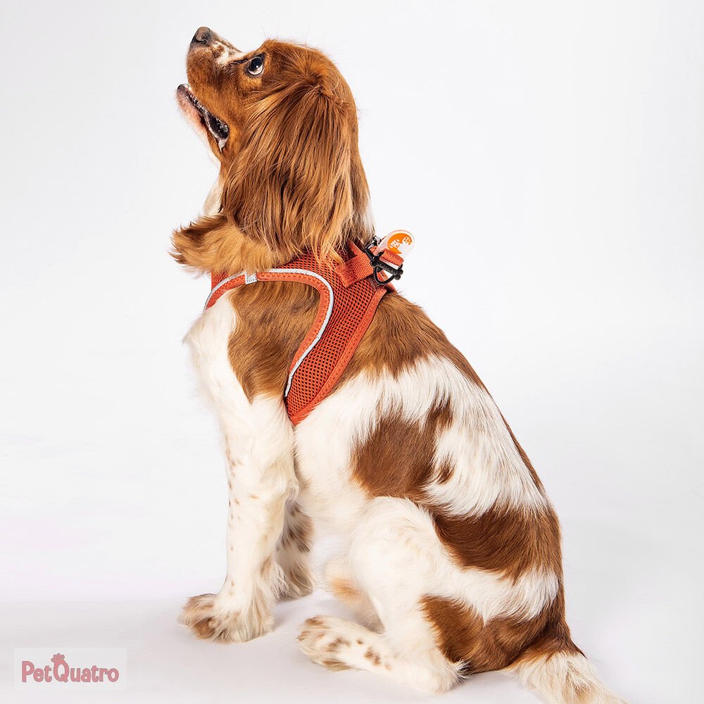 TERRACOTA AİR MESH S