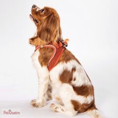 TERRACOTA AİR MESH S