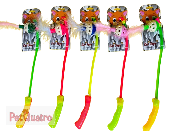 QUATRO KEDİ OLTASI