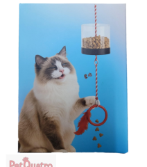 İSİS MAMAÇEK KEDİ OYUNCAĞI