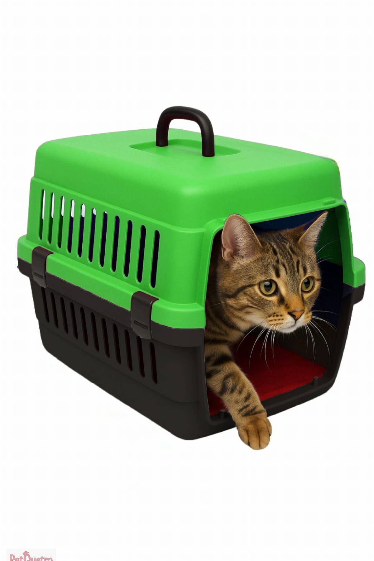 RENKLİ TAŞIMA KABI KÜÇÜK