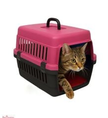 RENKLİ TAŞIMA KABI KÜÇÜK