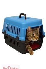 RENKLİ TAŞIMA KABI KÜÇÜK