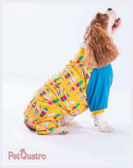 Ice Creams Pyjamas