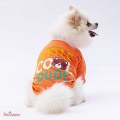 Orange Dude Sweat