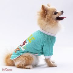 Mint Dude Sweat