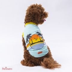 Mint Sunrise T-Shirt