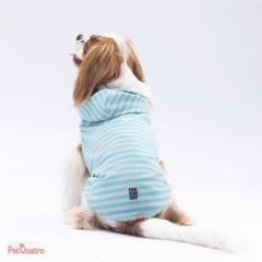 Aqua Sunny Hooded T-shirt