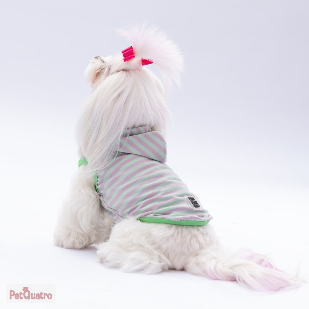 Mint Sunny Hooded T-shirt