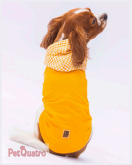 Yellow Gingham Hooded Polo Shirt