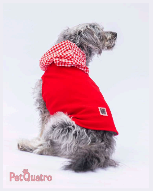 Red Gingham Hooded Polo Shirt