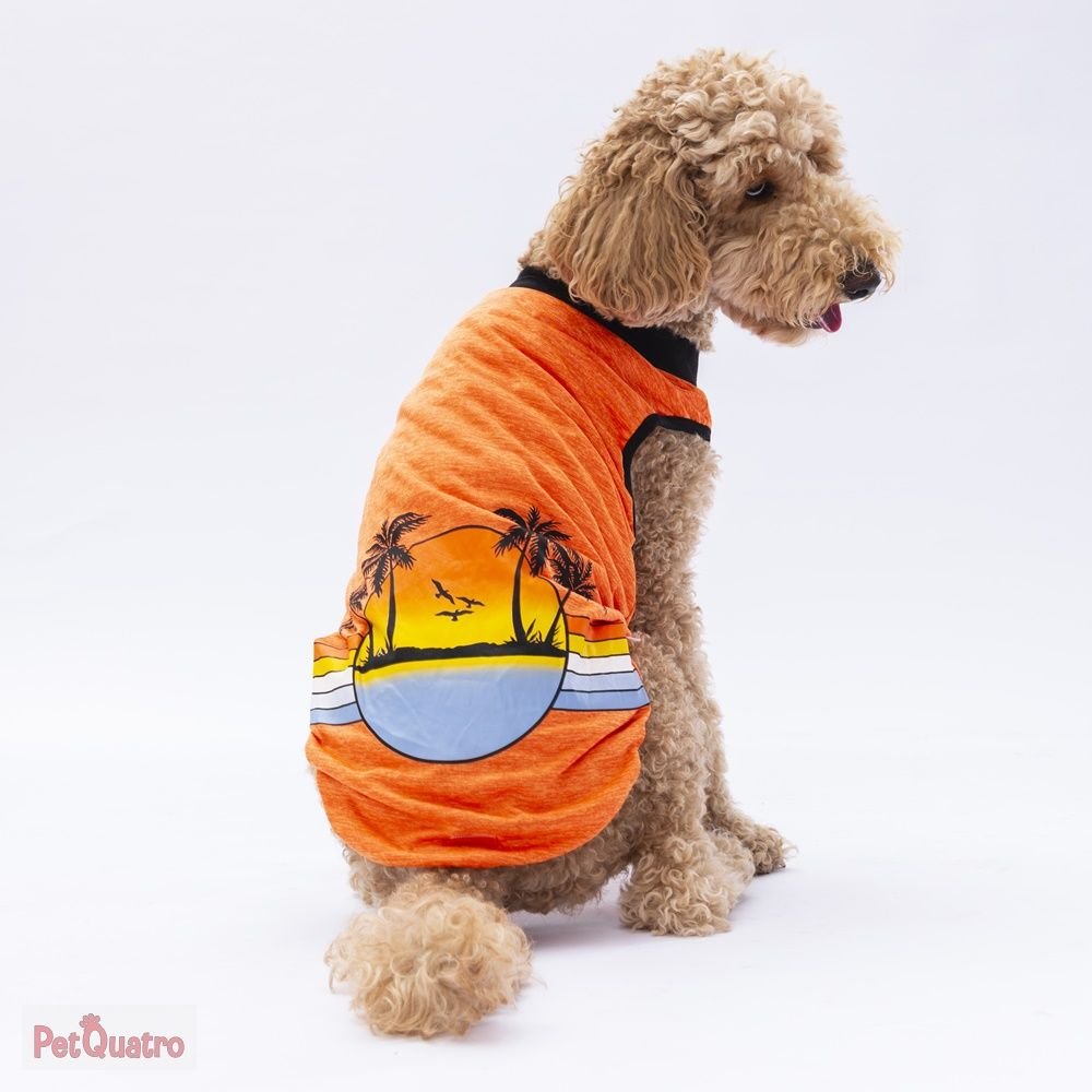 Orange Sunrise Big T-Shirt