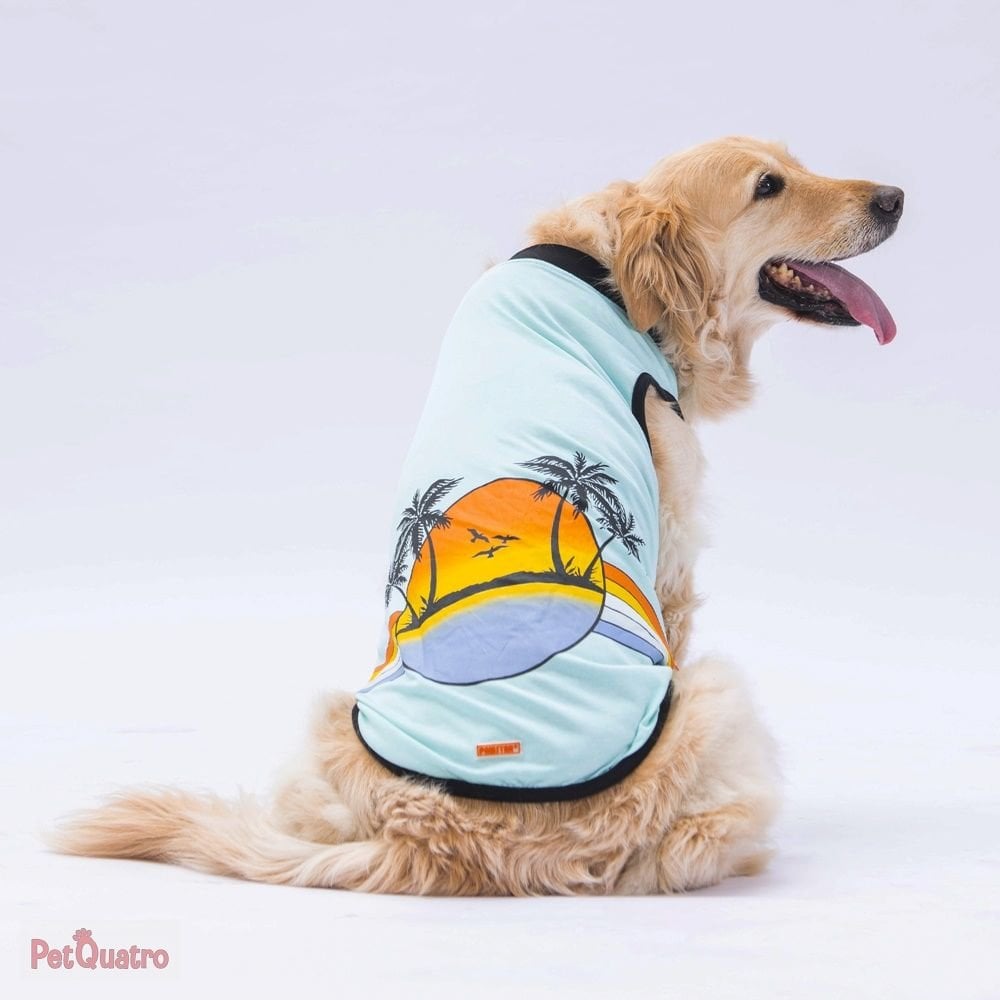 Mint Sunrise BigT-Shirt