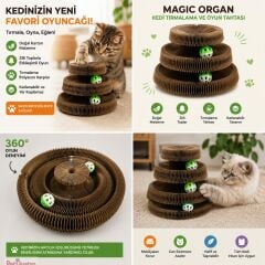 AKORDİYON KARTON KEDİ OYUNCAK