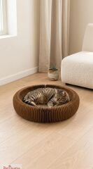 AKORDİYON KARTON KEDİ OYUNCAK