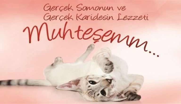Petshop Urunleri Toptan En Uygun Fiyatlarla Stoklarimizda Butun Urunler Ayni Gun Kargoda Tahtakaletoptanticaret Com
